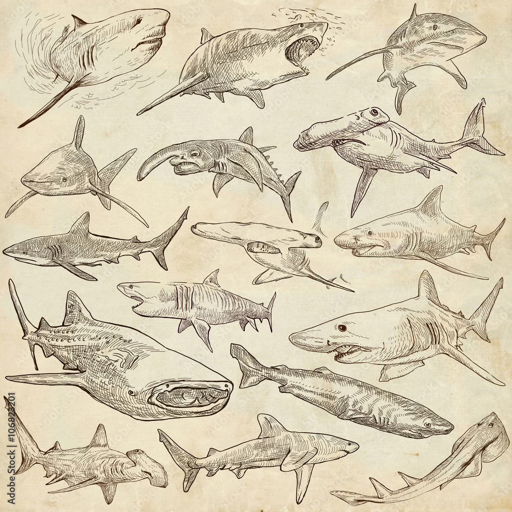 Obraz premium Sharks - An hand drawn pack. Freehand sketching, originals.