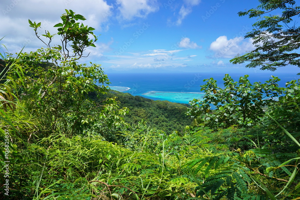 Obraz premium Green vegetation with ocean view from the heights of Huahine Nui island, Pacific ocean, French Polynesia