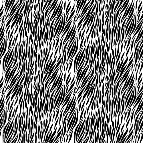Black and white zebra background