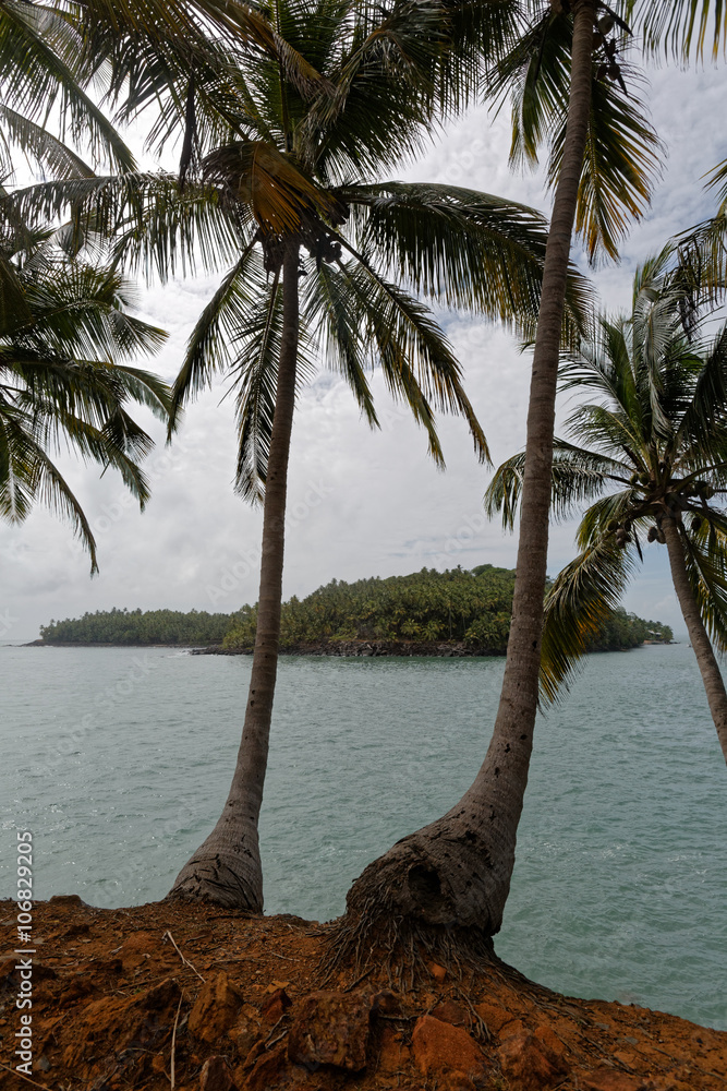Naklejka Île Saint-Joseph vue de l'île Royale, îles du Salut, Guyane française