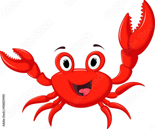 funny cartoon crab photo