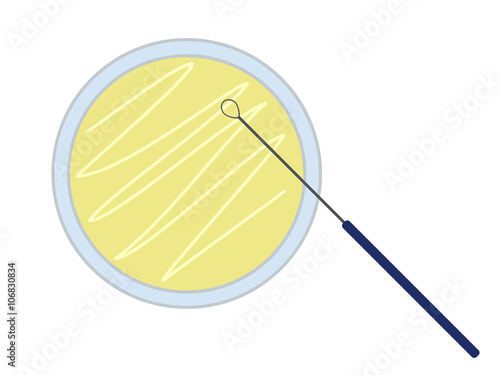 Petri dish with nutrient medium and inoculation loop