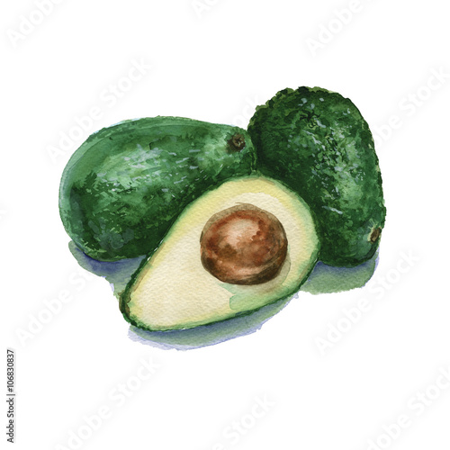 three avocados isolated. Watercolor