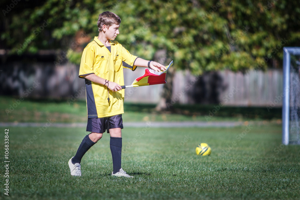 Naklejka premium Young soccer referee on the field