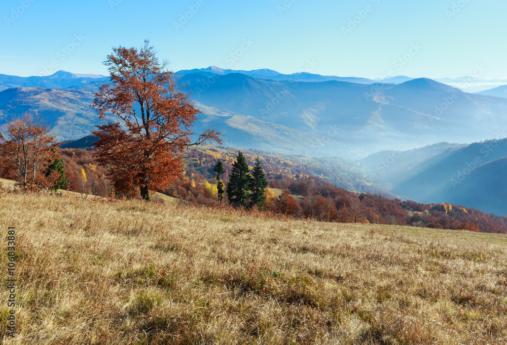 Fototapeta premium Golden autumn in mountain.