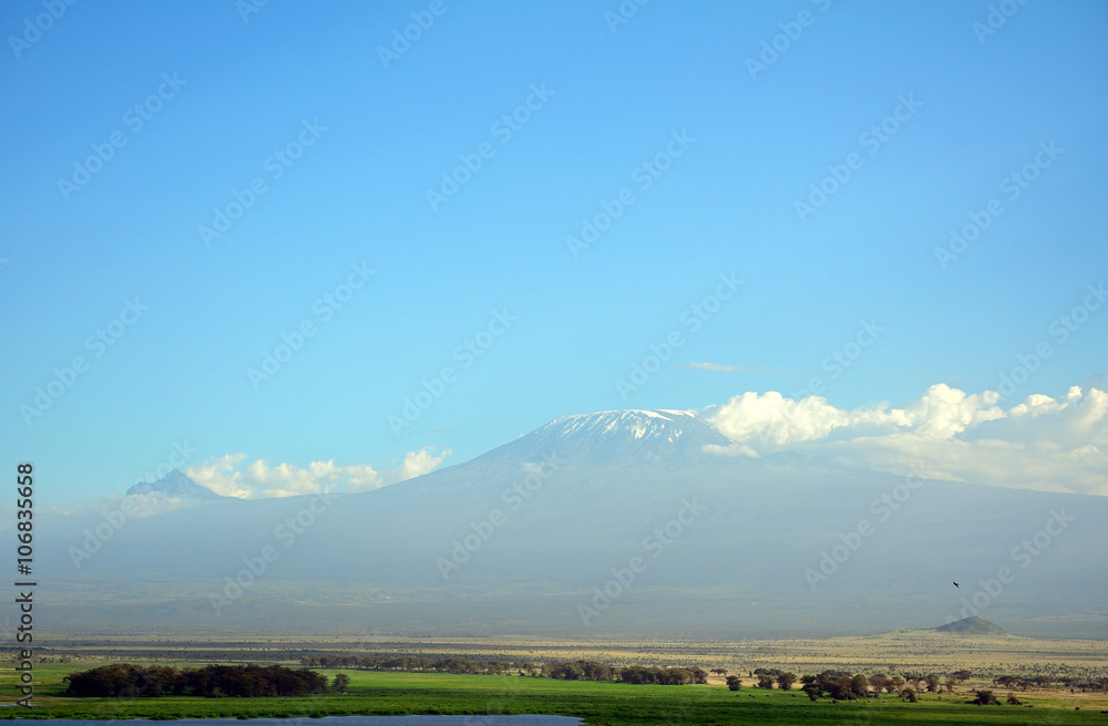 Obraz premium Kilimanjaro, Amboseli National Park, Kenya