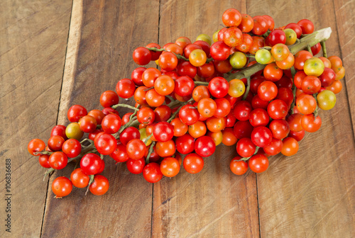 Colombian exotic fruit Corozo photo