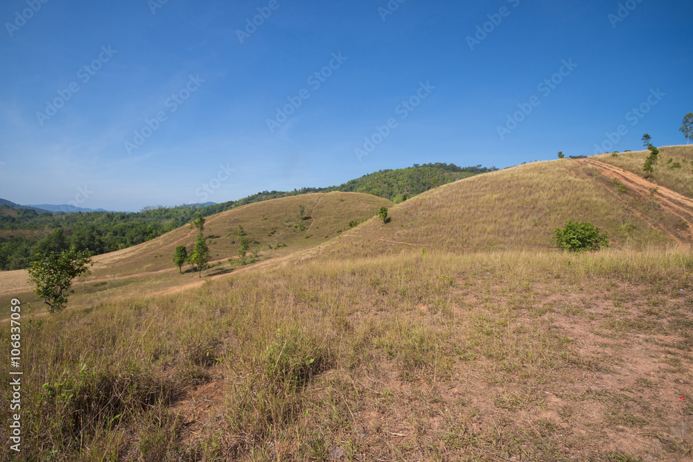 Bald mountain or grass mountain in Ranong province
