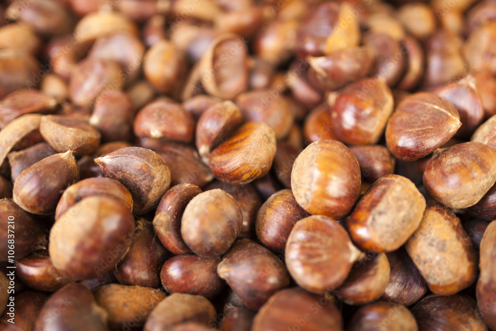 Chestnut Background Chestnut Background
