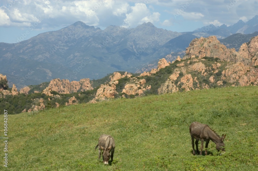 Fototapeta premium landscape, Corsica