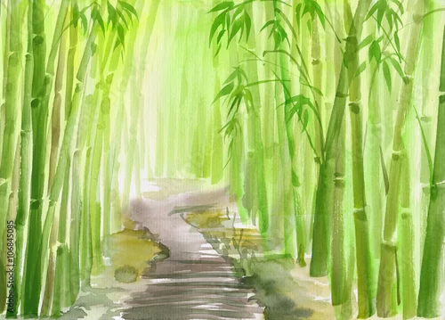 Obraz Jedna ścieżka aleja przez zielony bambusowy las oryginalny obraz akwarela.