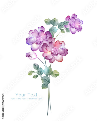 watercolor illustration flowers in simple background