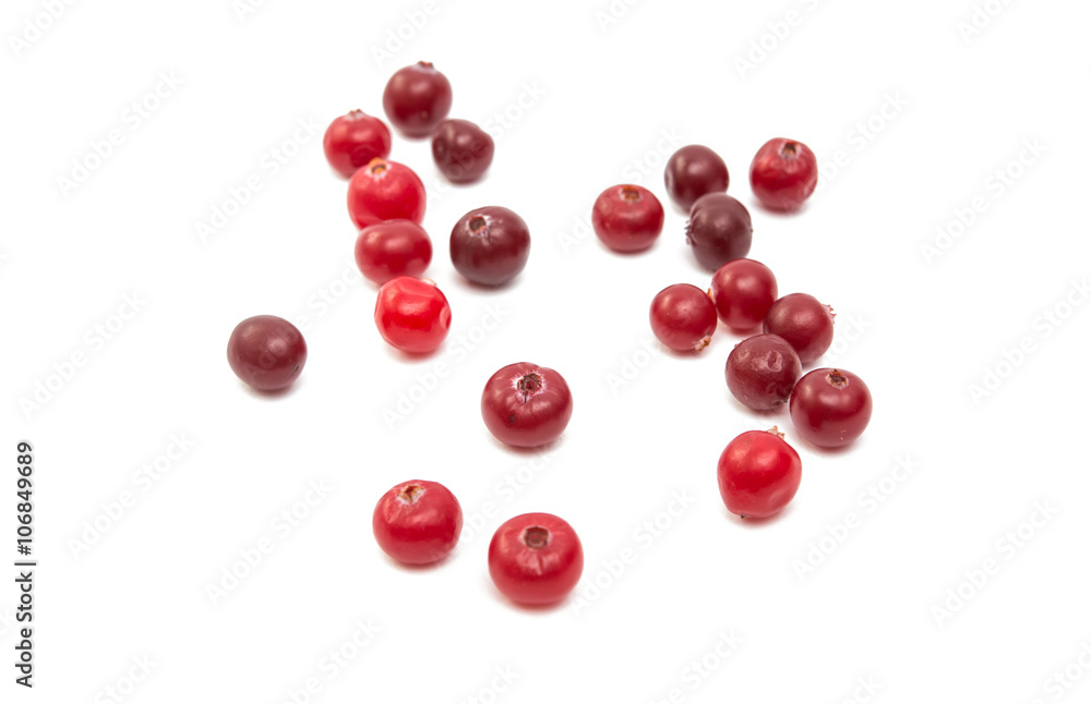 cranberries cranberries