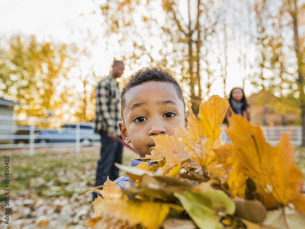 Black boy holding bundle of autumn leaves Black boy holding bundle of autumn leaves