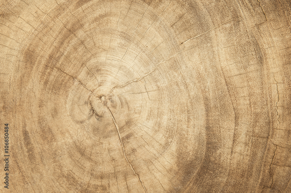 Naklejka premium Wood Wall For background