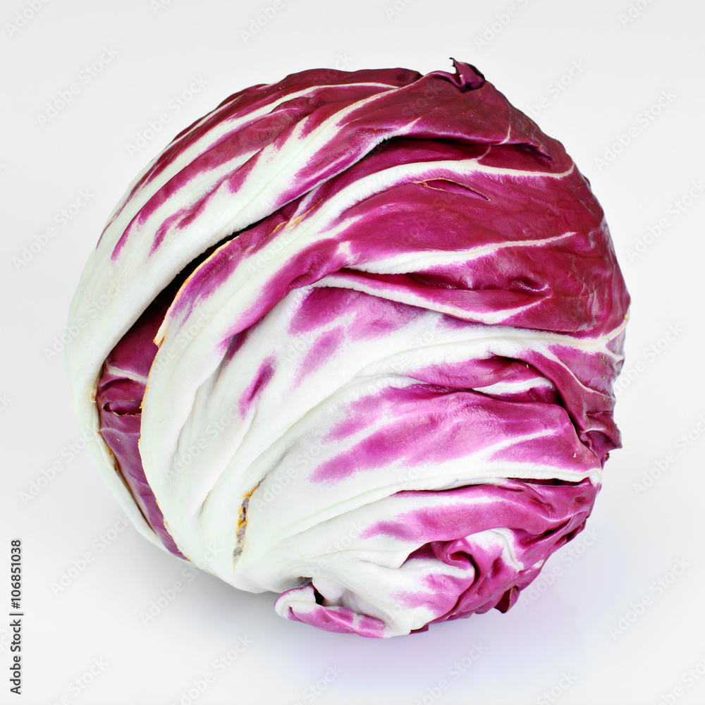 Fototapeta premium Batavian Italian Chicory