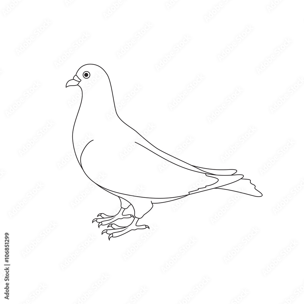 Beautiful silhouette of a dove. Beautiful silhouette of a dove.