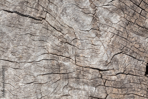 timber as texture