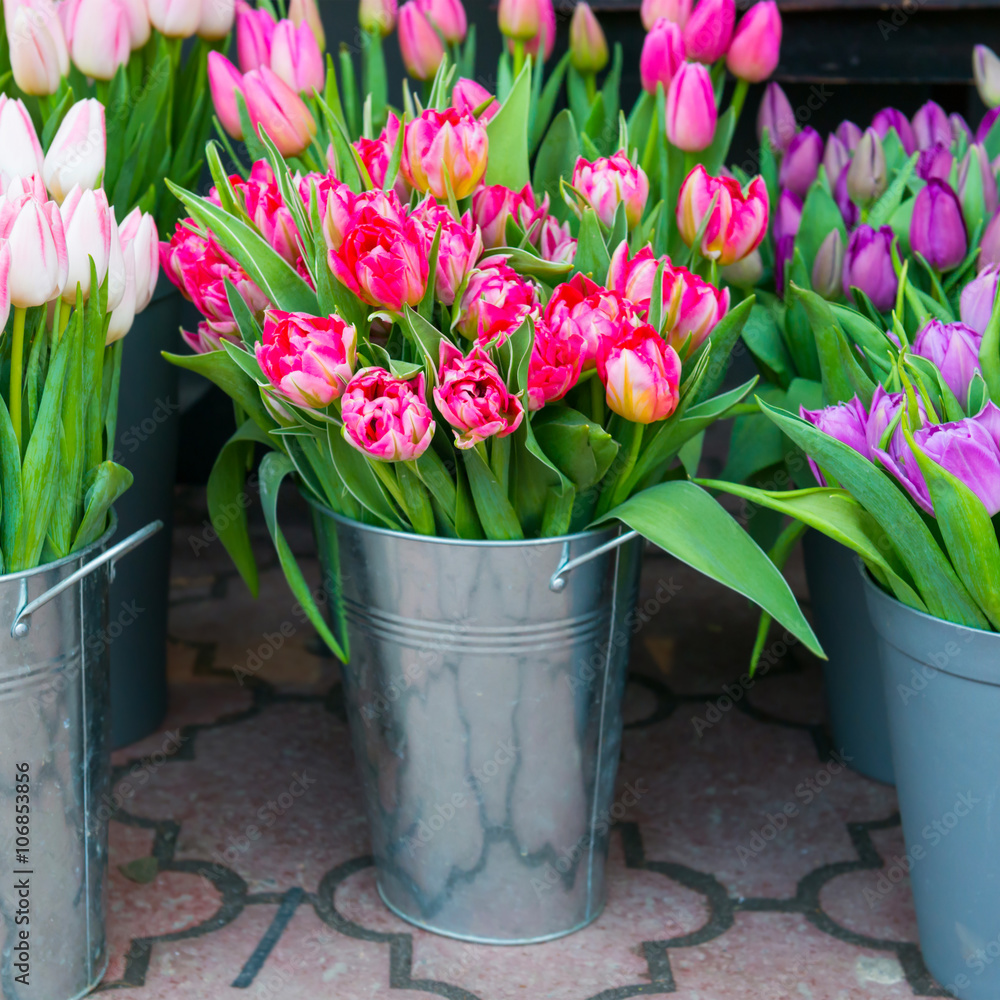 Tulips in the buckets