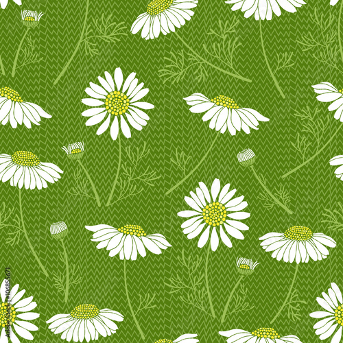 Fototapeta Naklejka Na Ścianę i Meble -  Seamless vector pattern with chamomiles. Hand-drawn floral background