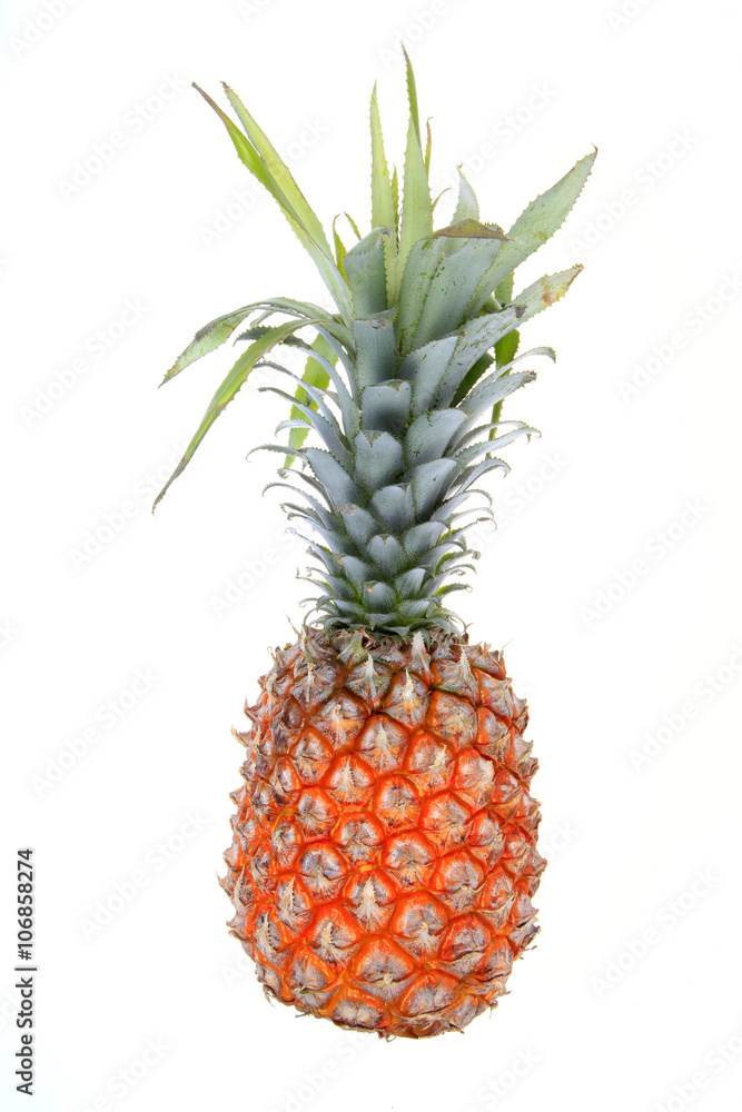 Fototapeta premium pineapple
