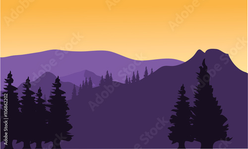 Silhouette or fir trees on the mountain