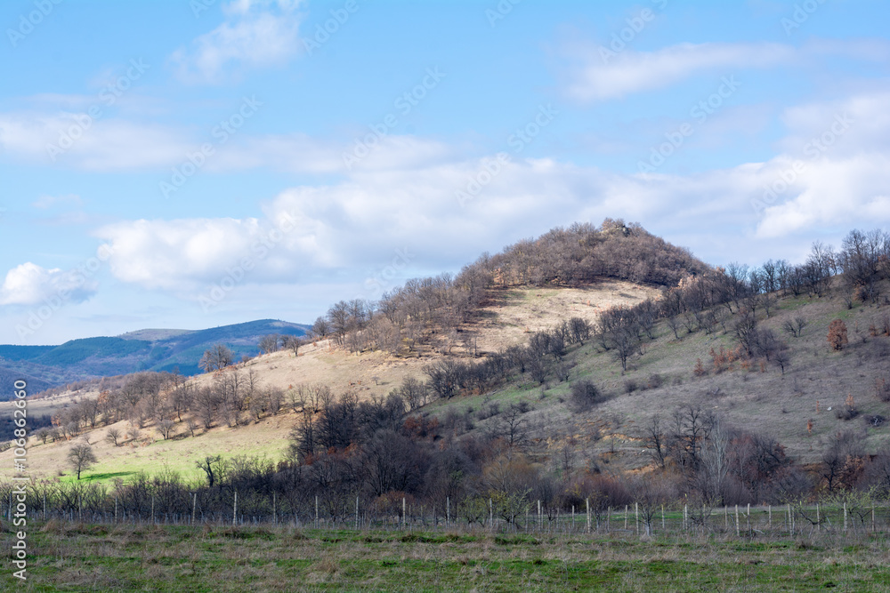 Beautiful forest, meadows and trees in the spring, Bulgaria Beautiful forest, meadows and trees in the spring, Bulgaria