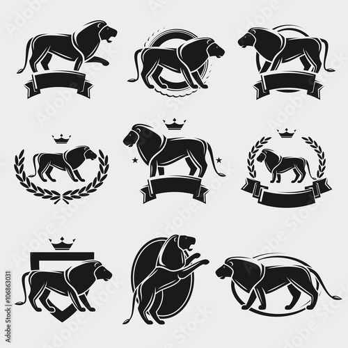Fototapeta Naklejka Na Ścianę i Meble -  Lion label and icons set. Vector