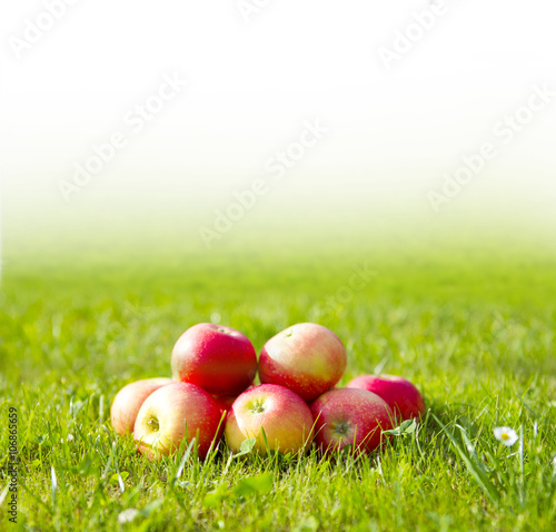 Äpfel im Gras