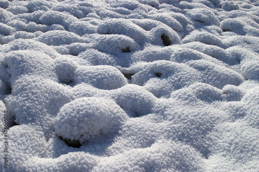 Fototapeta premium snow macro