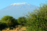 Kilimanjaro, Amboseli National Park, Kenya