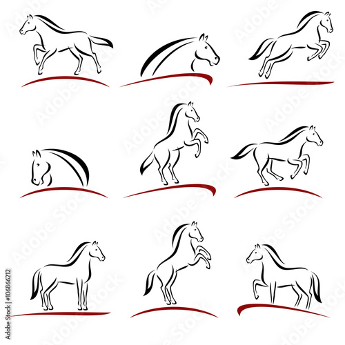Horse set. Vector
