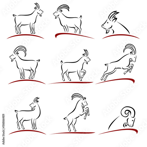 Goat set. Vector