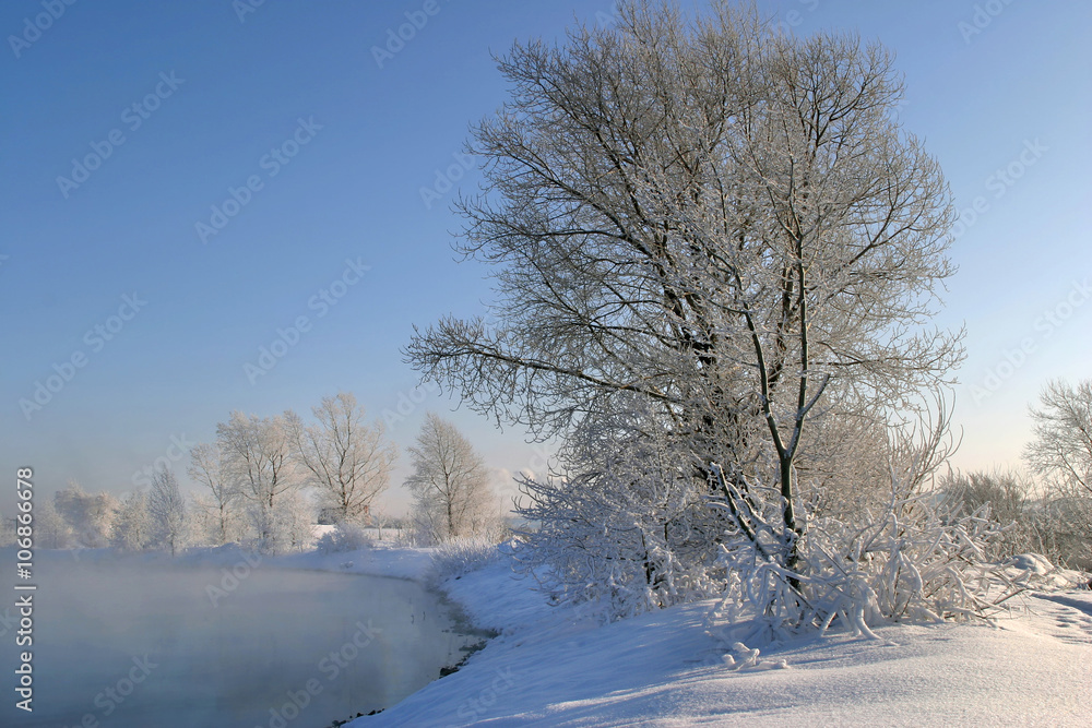 winter tale winter tale