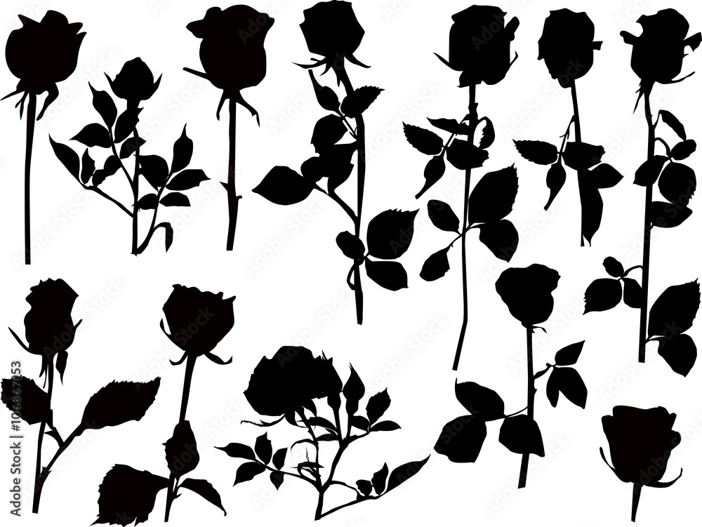 twelve black isolated roses - obrazy, fototapety, plakaty 