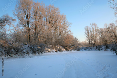 Wallpaper Mural frosty beauty Torontodigital.ca