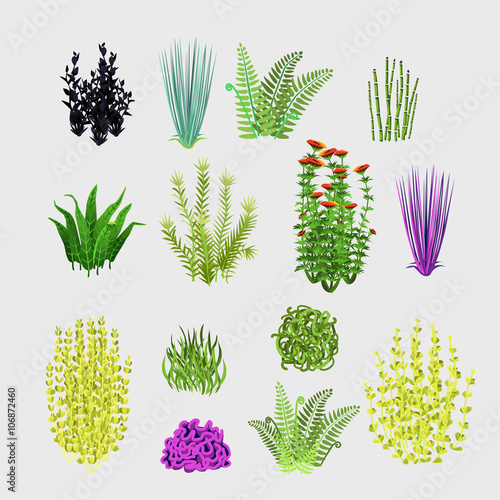 Varieties of plants, big set 14 icons