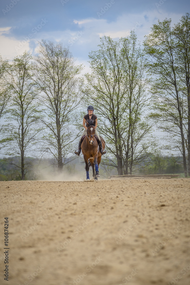 Woman Practicing on Hunter Jumper Horse in Ring