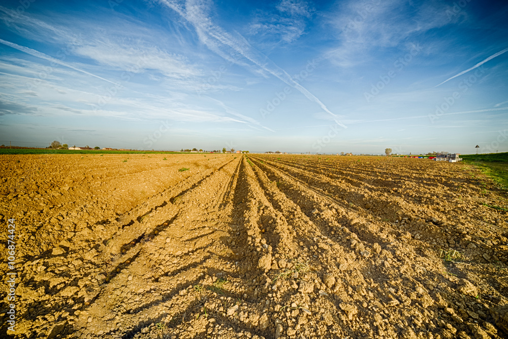 plowed potato field after harvest plowed potato field after harvest