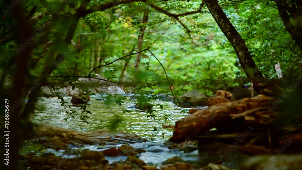 Calm River Flowing Deep In The Forest Calm River Flowing Deep In The Forest