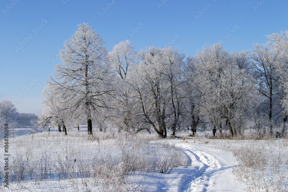 winter landscape winter landscape
