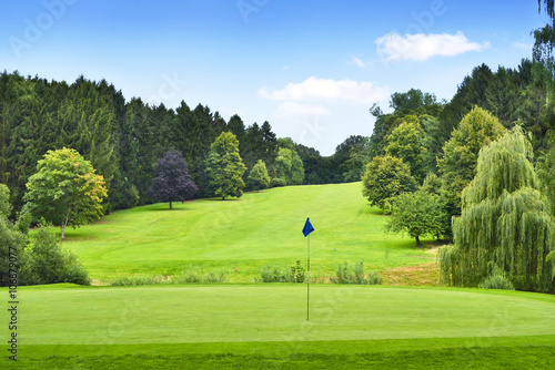 Idyllic golf course with forest. Summer landscape, park.