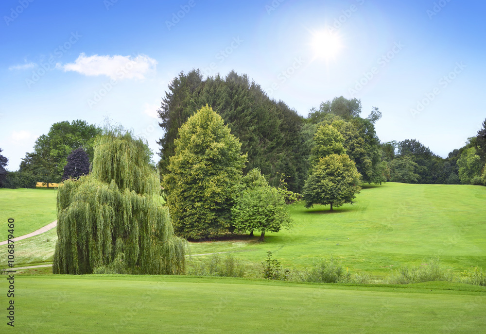 Idyllic golf course with forest. Summer landscape, park.