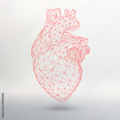 Creative concept Background of the human heart. Vector Illustration eps 10 for your design. photo