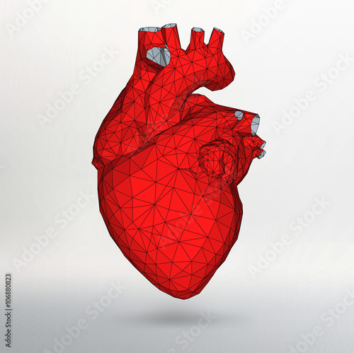 Abstract Creative concept vector background of the human heart. Polygonal design style letterhead and brochure for business. Vector Illustration eps 10 for your design.