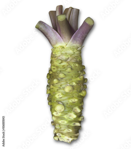 Fotografie, Obraz fresh, raw wasabi root