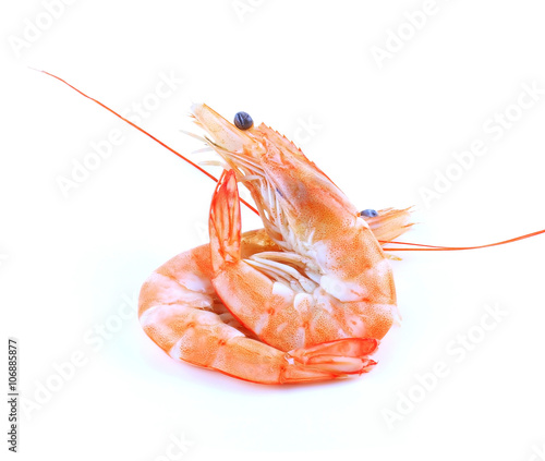 some shrimps on a white background photo