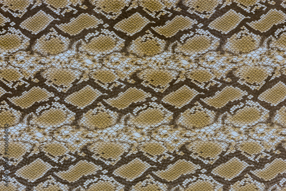 texture of print fabric striped snake leather texture of print fabric striped snake leather