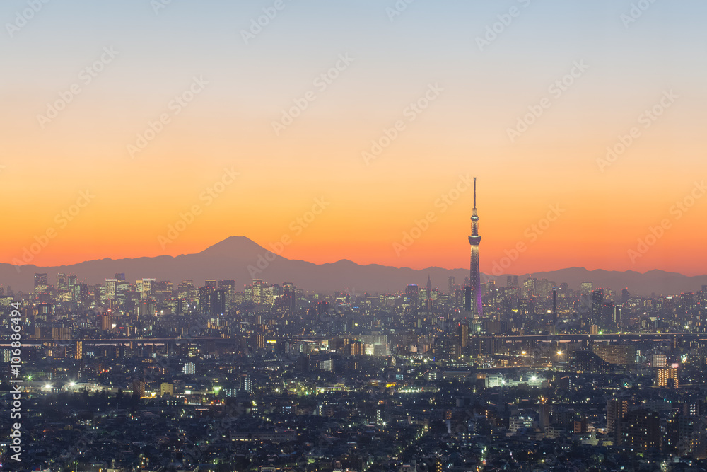 Tokyo city view and mountain fuji at sunset..