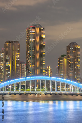 View of waterfront Tokyo city at twilight